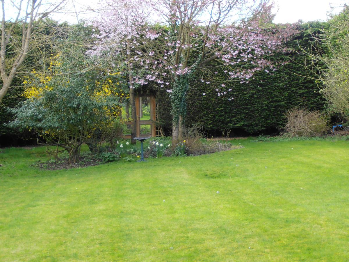 Castle View Rooms Castle Hedingham Bagian luar foto